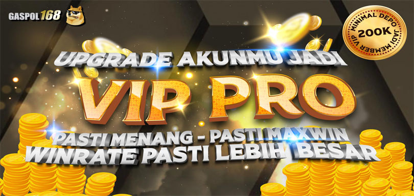 VIP PRO